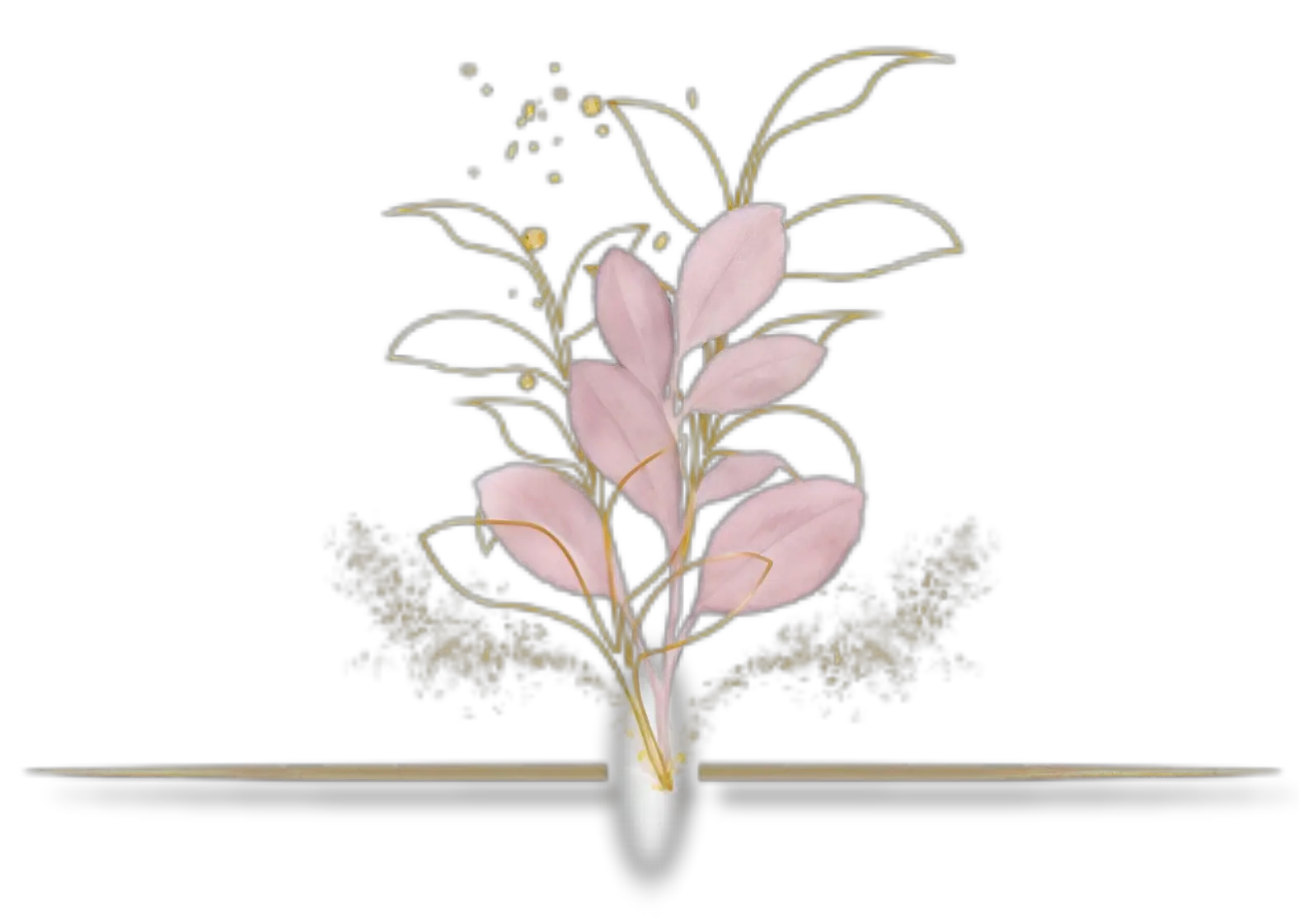 Descripción de la imagen